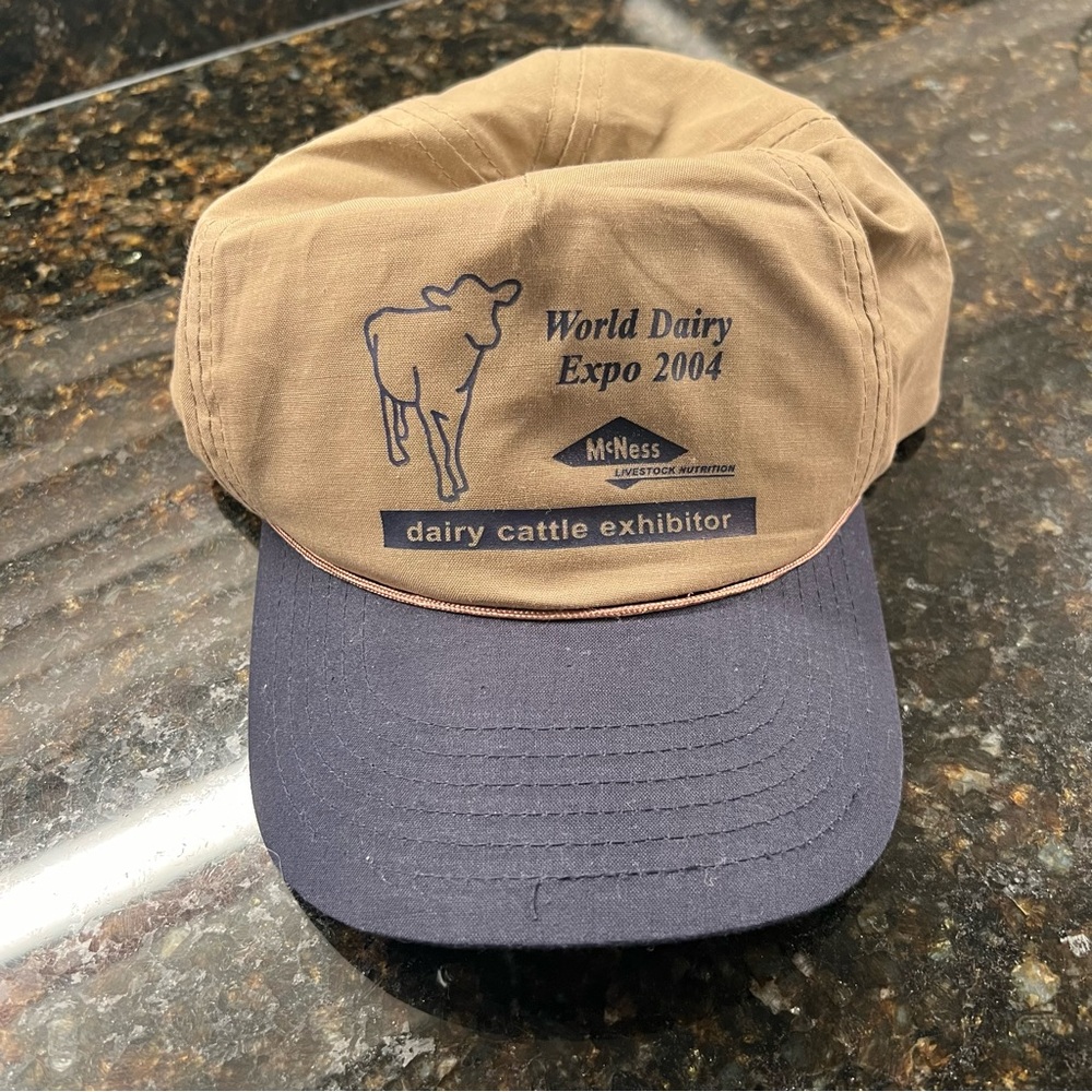 Vintage 2004 Braided SnapBack Trucker Hat World Dairy Expo New Brown Blue Cap